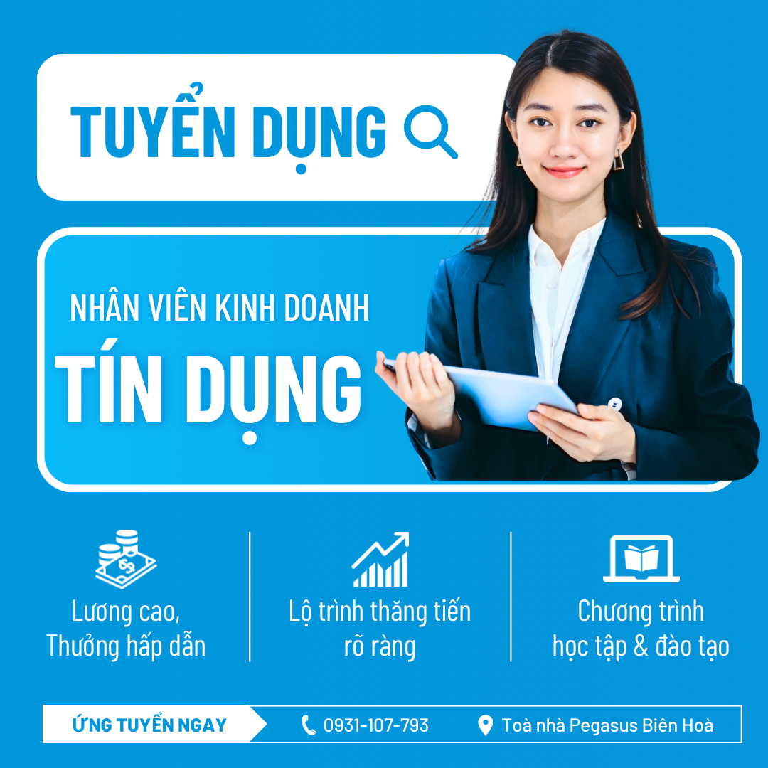 lĩnh vực hoạt động